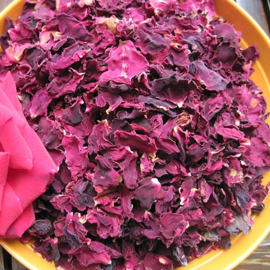 rose hip extract