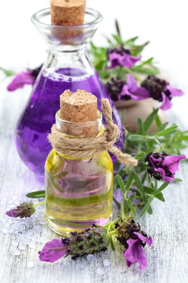 Lavender essential oil